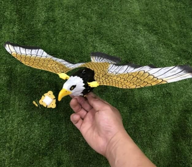 Realistic Flying Eagle Bird Toy with Spread Wings - Online Toy Shop - FreshShopStore
